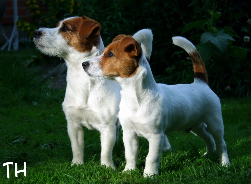 Arska & Inka.jpg - Arska ja äiskä